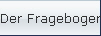 Der Fragebogen