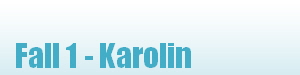 Fall 1 - Karolin